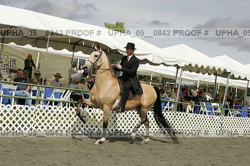 Proof upha_05__0842