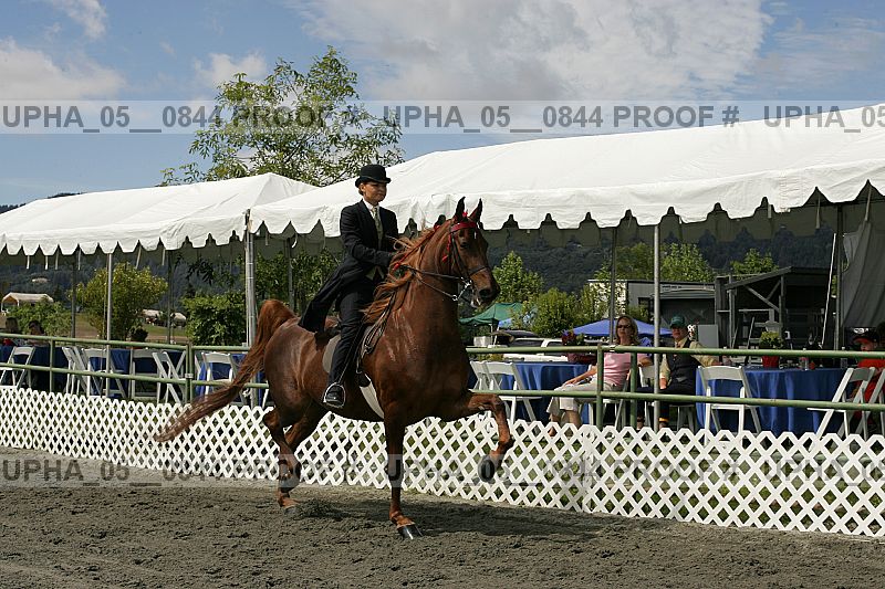 Proof upha_05__0844