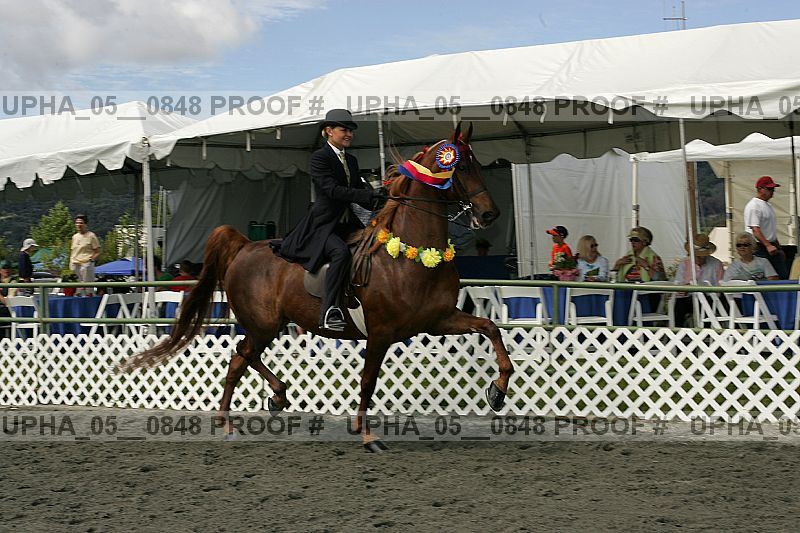 Proof upha_05__0848