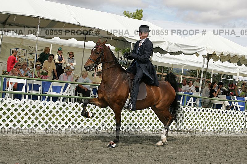 Proof upha_05__0859