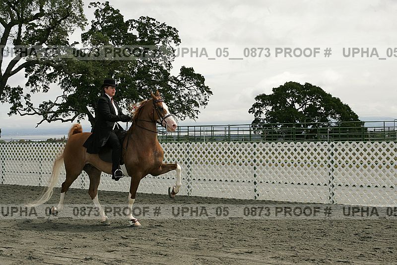Proof upha_05__0873