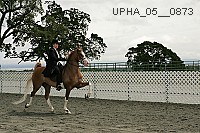 upha_05__0873 proof