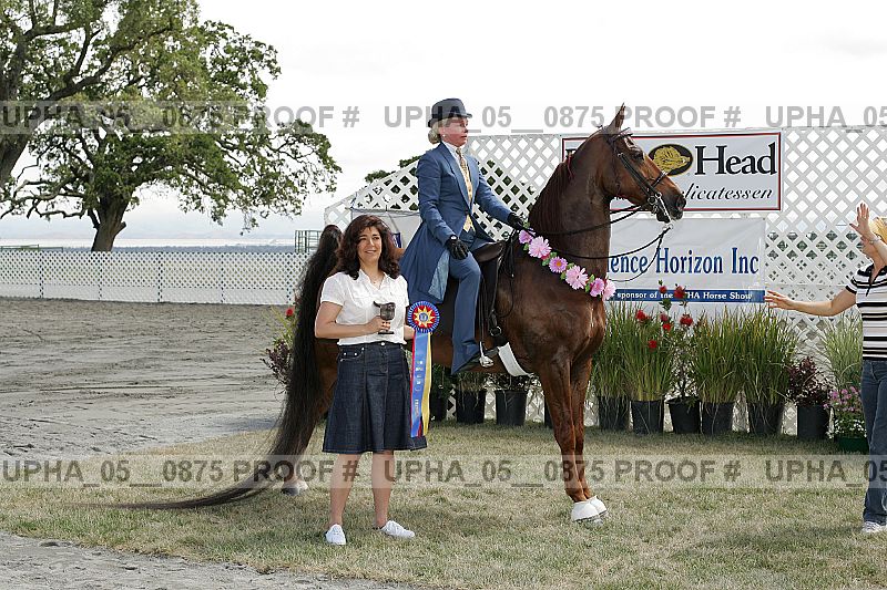Proof upha_05__0875