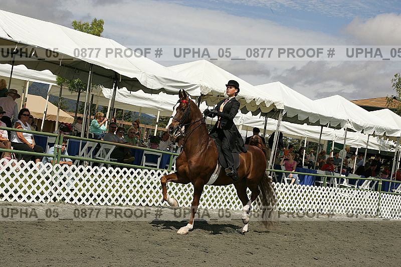 Proof upha_05__0877