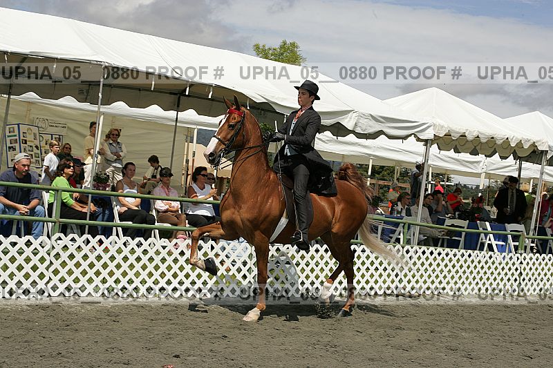 Proof upha_05__0880