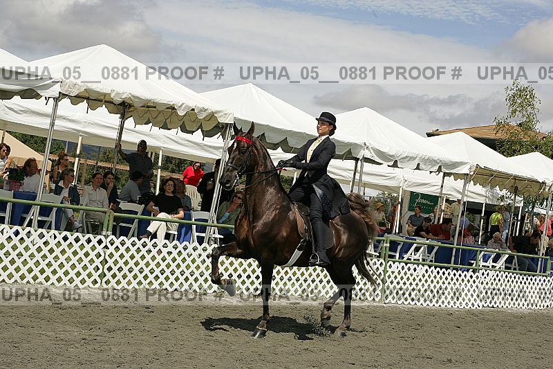 Proof upha_05__0881