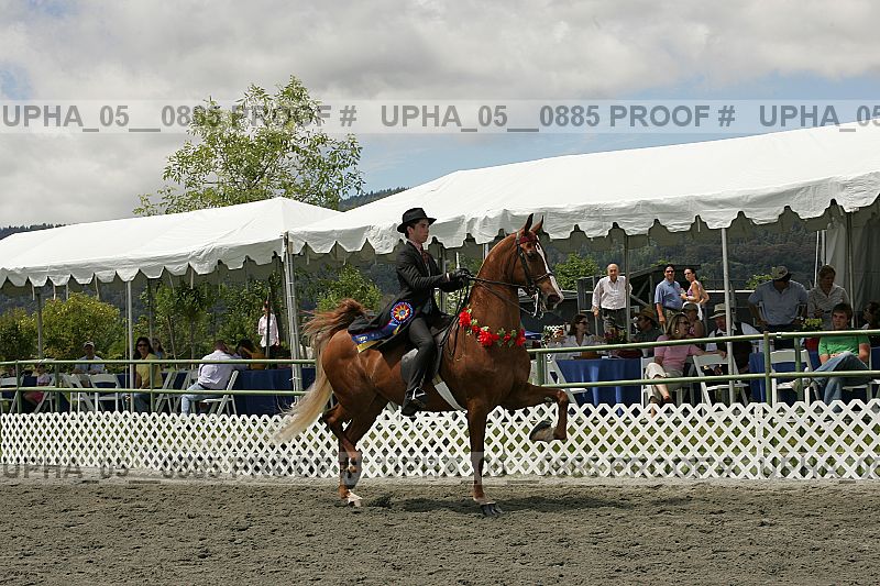 Proof upha_05__0885