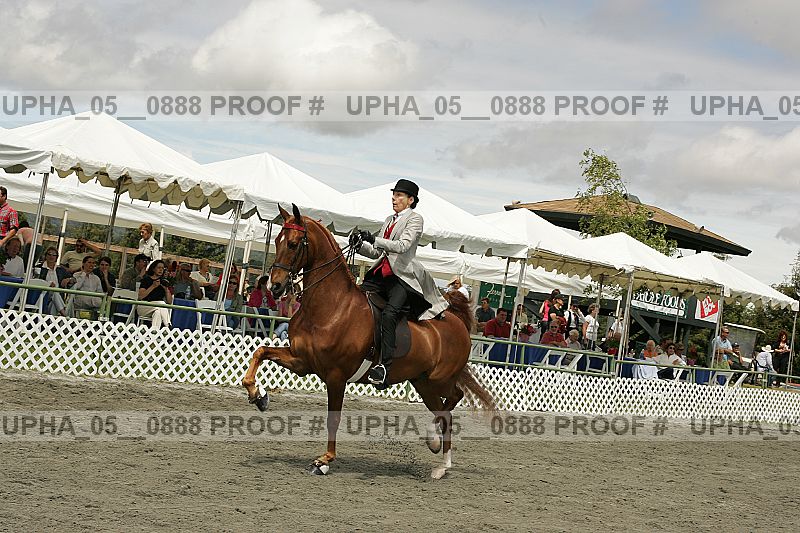 Proof upha_05__0888
