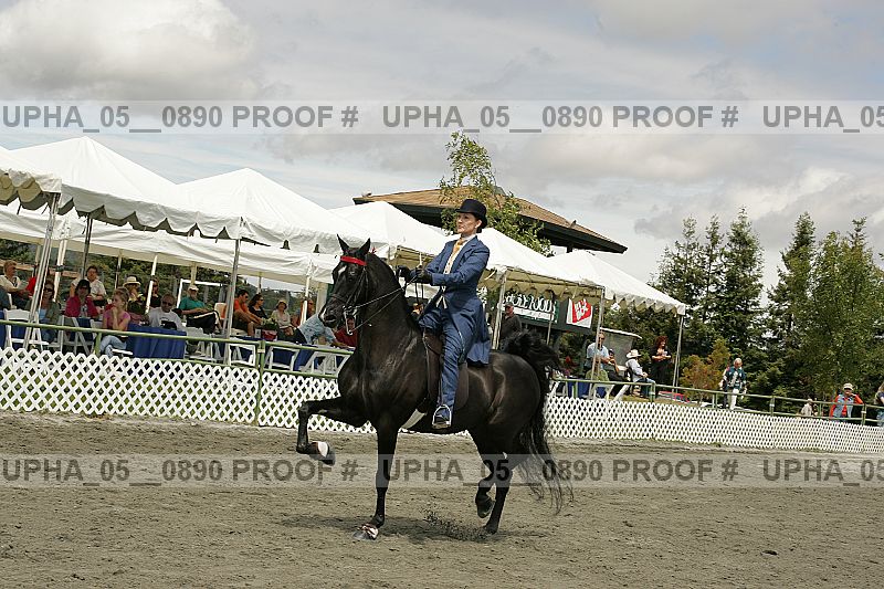 Proof upha_05__0890