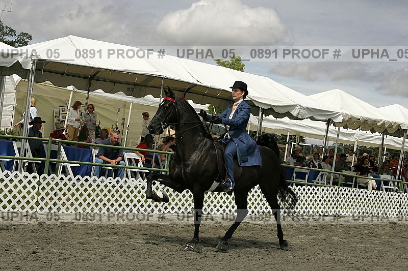 Proof upha_05__0891
