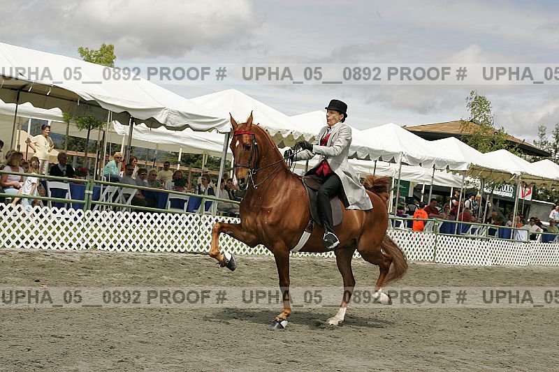 Proof upha_05__0892