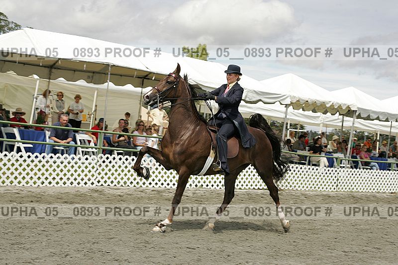 Proof upha_05__0893