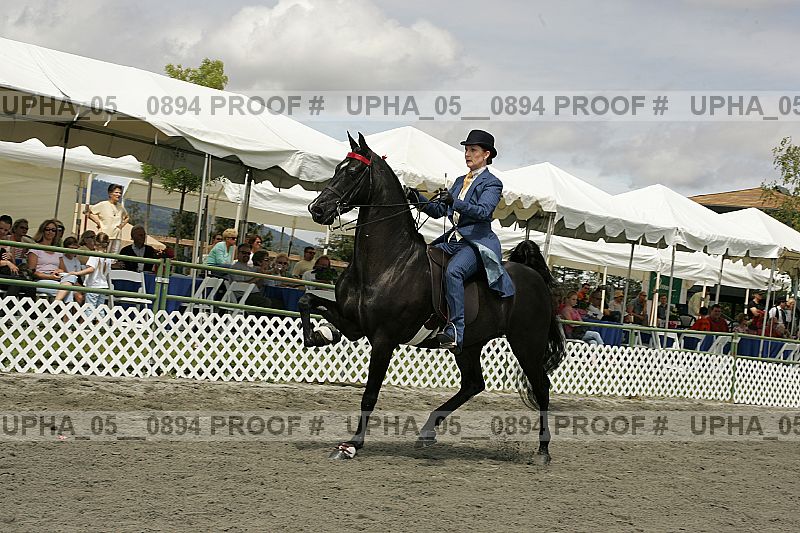 Proof upha_05__0894