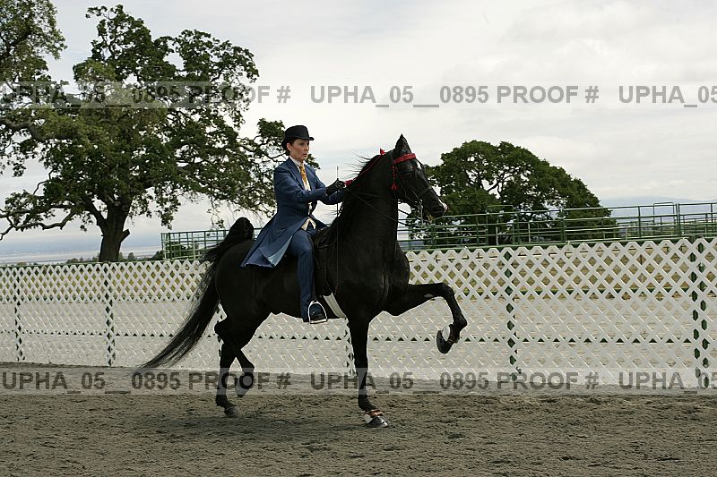 Proof upha_05__0895
