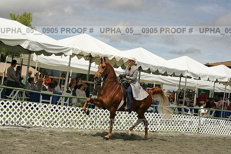 Proof upha_05__0905