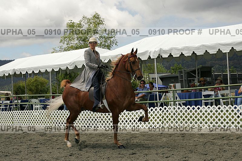 Proof upha_05__0910
