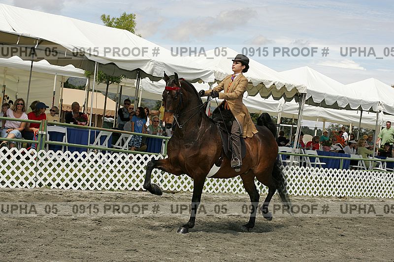 Proof upha_05__0915