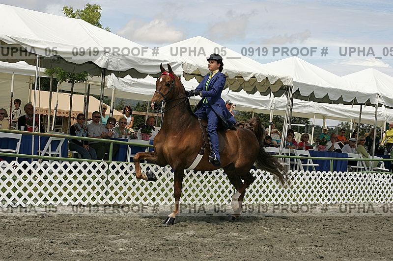 Proof upha_05__0919