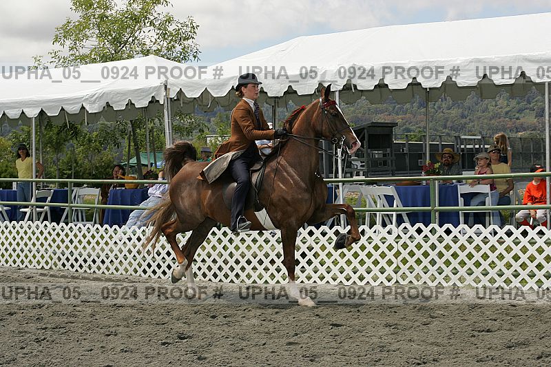 Proof upha_05__0924