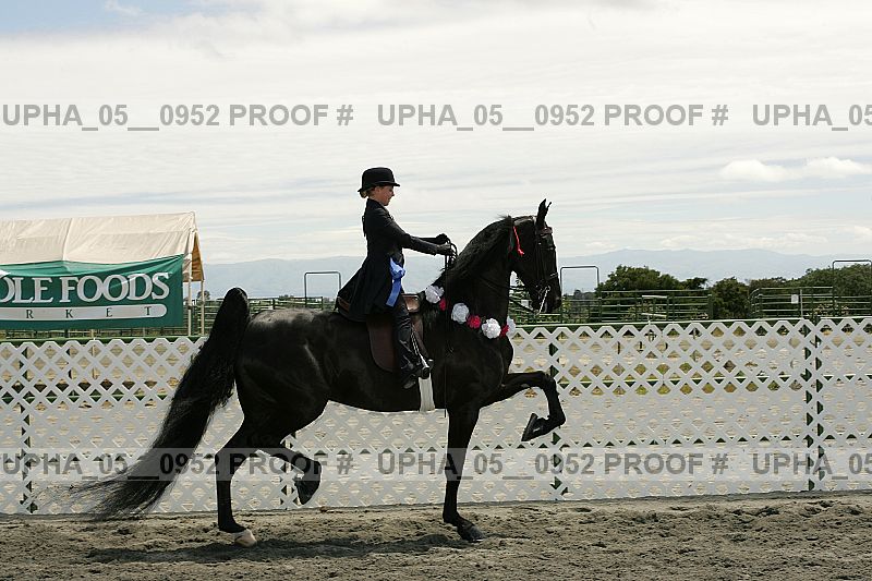 Proof upha_05__0952