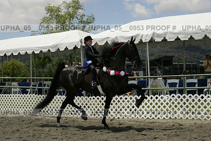 Proof upha_05__0953