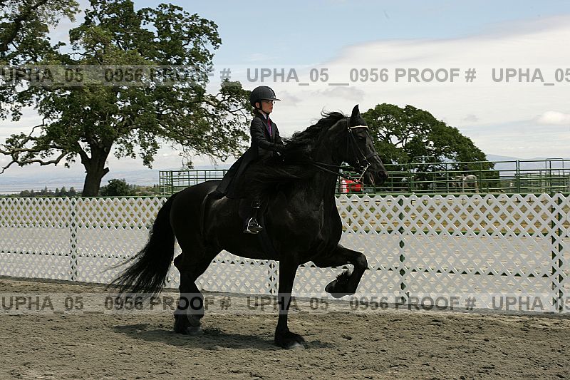 Proof upha_05__0956