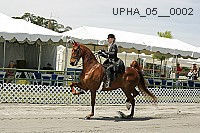 upha_05__0002 proof