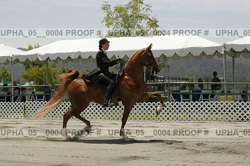 Proof upha_05__0004