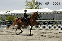 upha_05__0004 proof