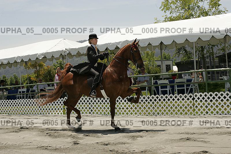 Proof upha_05__0005