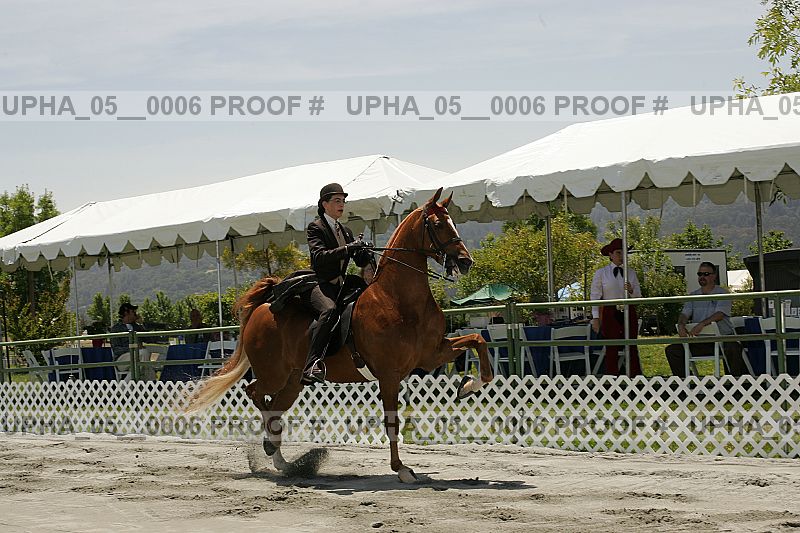 Proof upha_05__0006