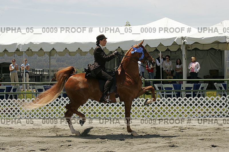 Proof upha_05__0009