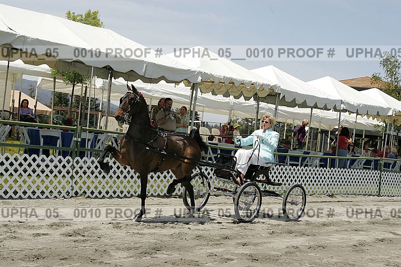 Proof upha_05__0010