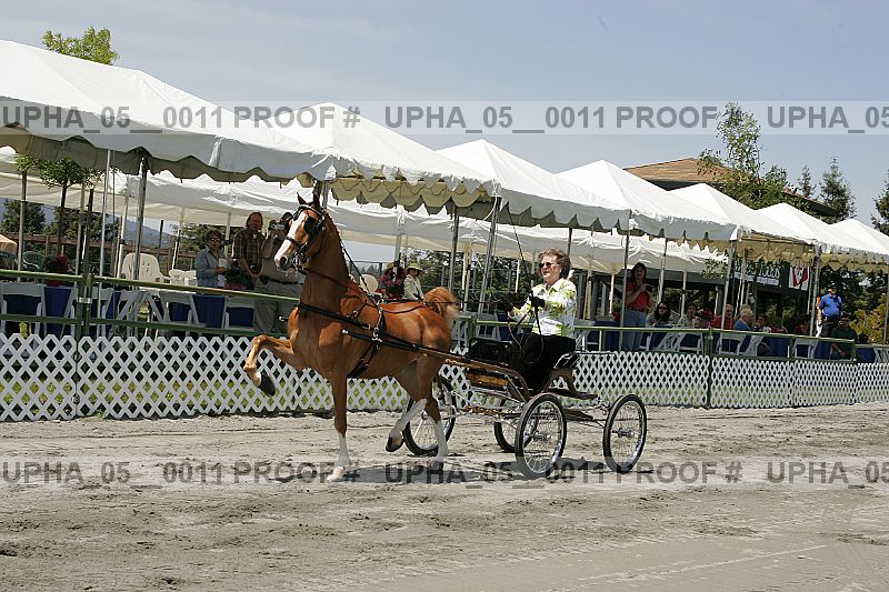Proof upha_05__0011
