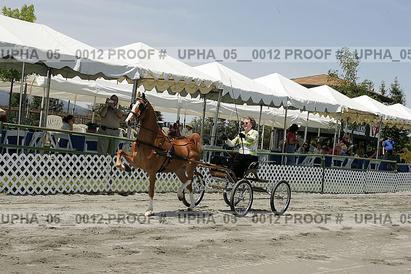 Proof upha_05__0012