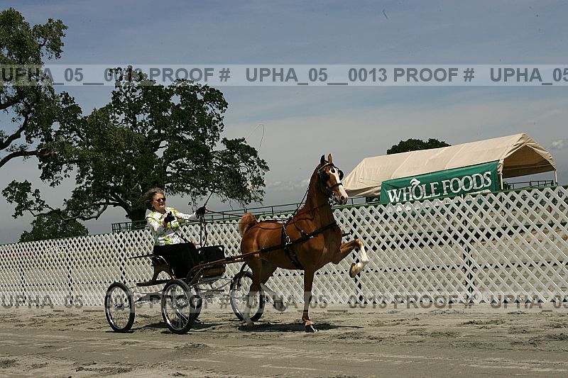 Proof upha_05__0013