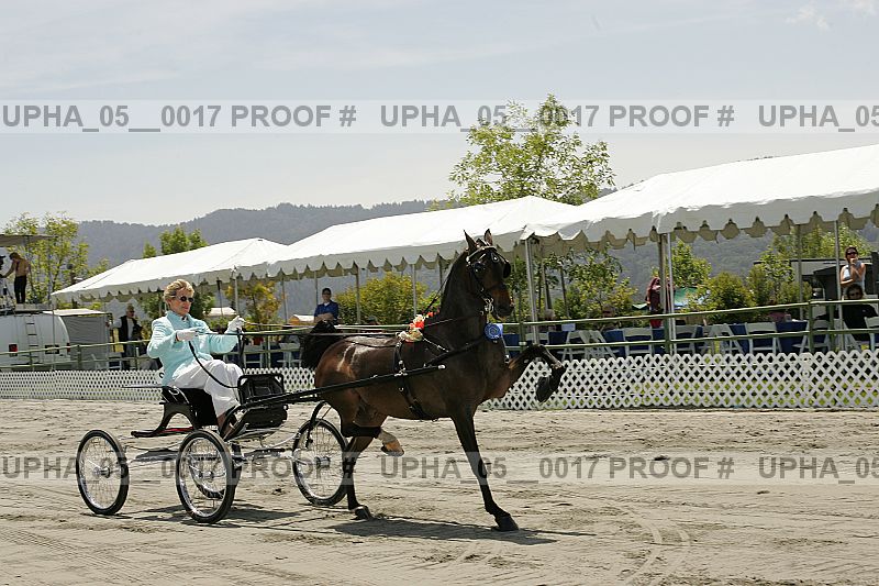 Proof upha_05__0017