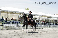 upha_05__0018 proof