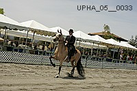upha_05__0033 proof