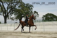 upha_05__0035 proof