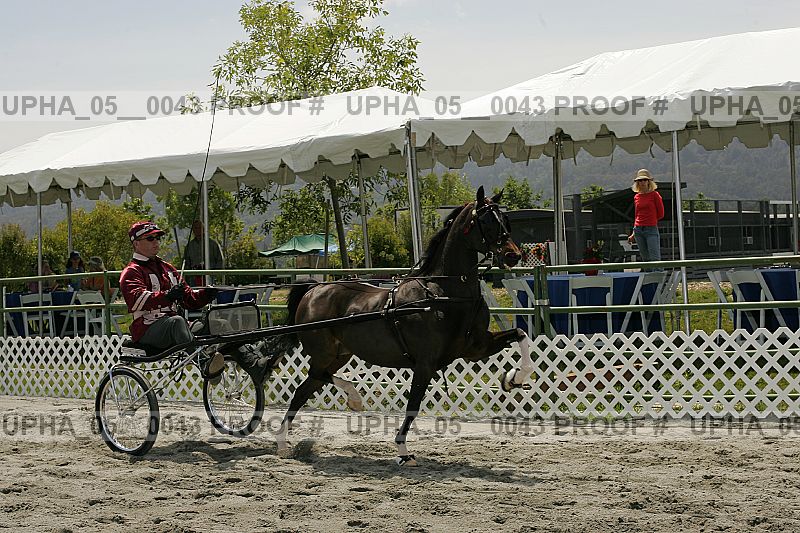 Proof upha_05__0043