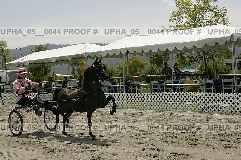 Proof upha_05__0044