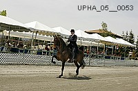 upha_05__0053 proof