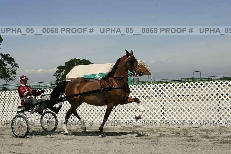 Proof upha_05__0068