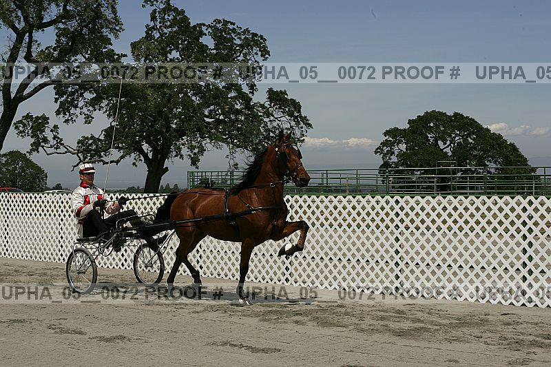 Proof upha_05__0072