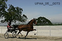 upha_05__0073 proof