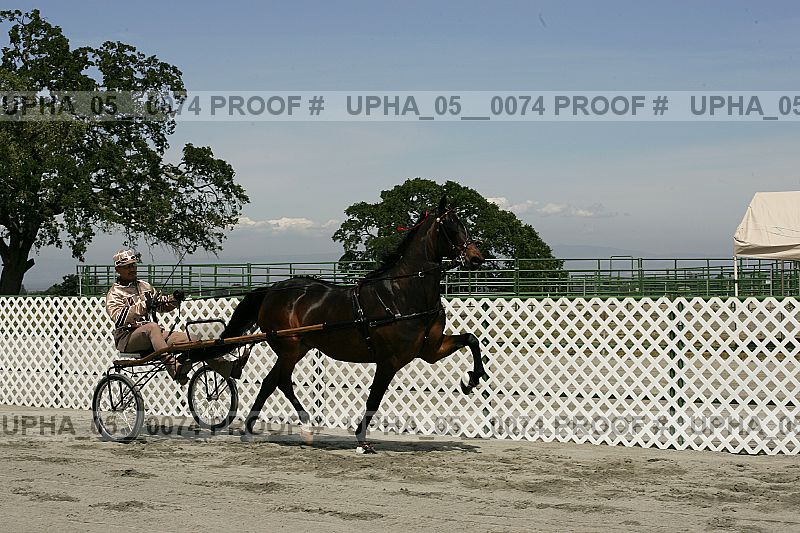 Proof upha_05__0074