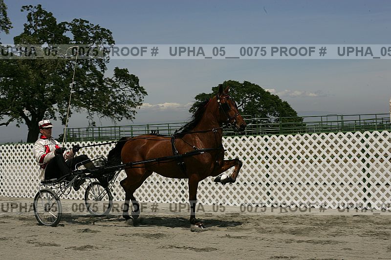 Proof upha_05__0075