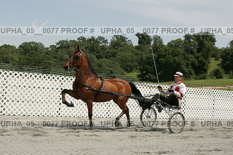 Proof upha_05__0077