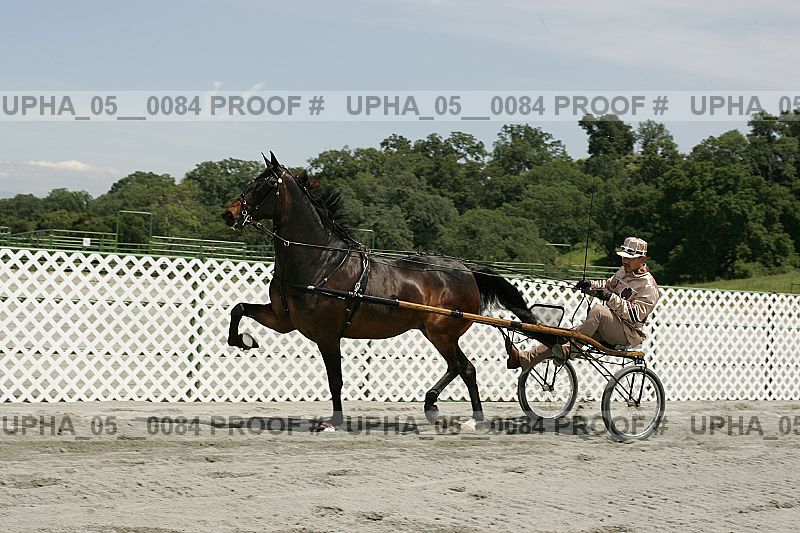 Proof upha_05__0084